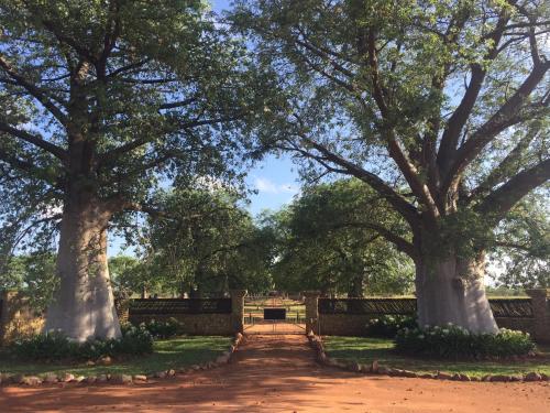 Baobab Lane Lodge - thumb 0