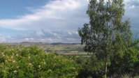 Banana Coves Tourism Africa