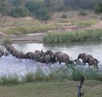 Baluleni Safari Lodge - Tourism Africa