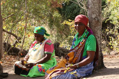 Baleni Cultural Camp - thumb 2