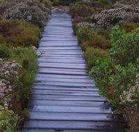 Brandys beach house bettys bay - Tourism Africa