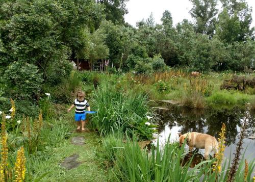 Boutique Vintage Forest Cabin - thumb 1