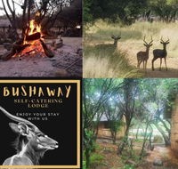 Bosveld Bruilof  BushAway Lodge - Accommodation Africa