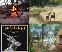 Book Brits Hotels, Tourism Africa Tourism Africa