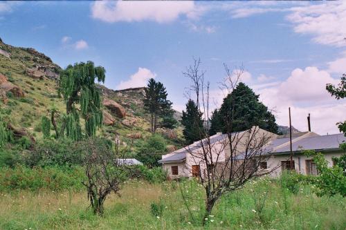 Aspen Guest House - thumb 5
