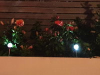 ASHMEADE HOUSE Tourism Africa