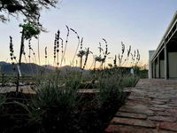 Asher Stable Stay Tourism Africa