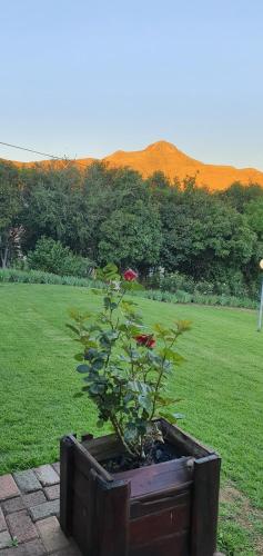 Ash River Lodge - thumb 1