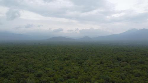 Boschfontein Guest Farm - thumb 1