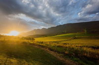 Appelsbosch Guest Farm Tourism Africa