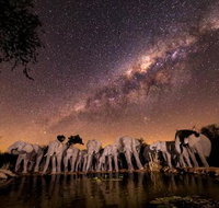 Antares Bush Camp  Safaris - Tourism Africa
