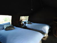 Andova Tented Lodge - Kruger Open Gate Road Tourism Africa