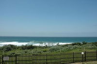 Bondi Beach C Tourism Africa