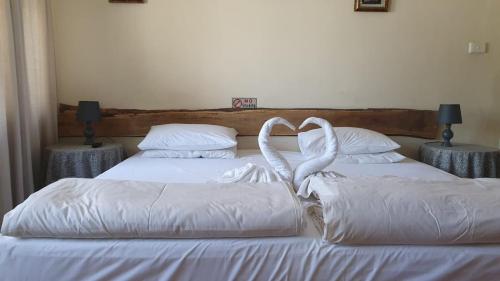 Bonani B & B - thumb 5