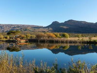 Alpha Excelsior Guest Farm Tourism Africa