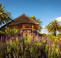 Bolivia Lodge - Tourism Africa
