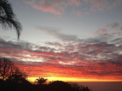 Albatros Guest House, Margate ,, SOUTH AFRICA , KZN NATAL - thumb 5