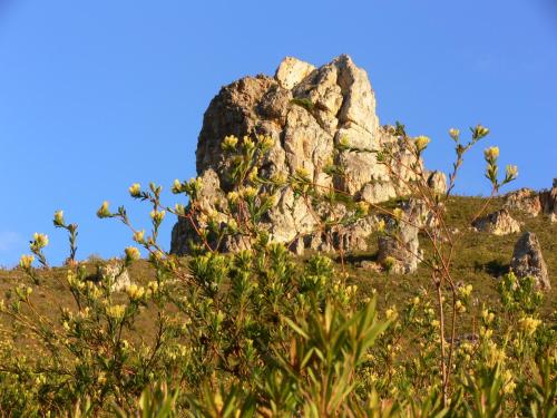 Alba House Guest House - thumb 1