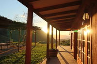 Bobbejaans Kloof Mountain Retreat Tourism Africa