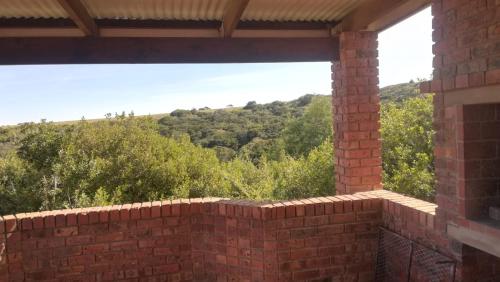 Blue Whale Resort - thumb 3