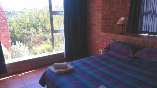 Blue Whale Resort - thumb 1