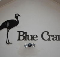 Blue Crane Guest House Bloemfontein - Tourism Africa