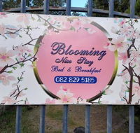 Blooming Nice Stay - Tourism Africa