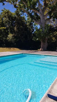 Bloom Guest House Tourism Africa