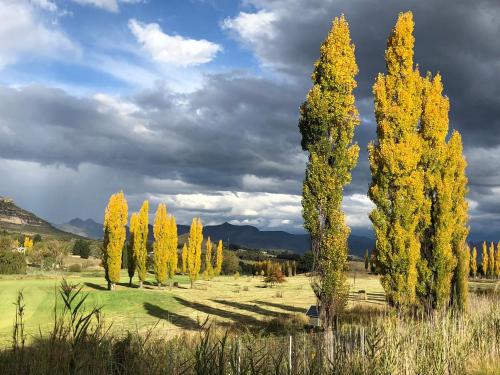 Birchwood A & B @ Clarens - thumb 1