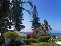 BillsBest Greengates Cottages Tourism Africa