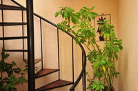 Bradclin House Tourism Africa