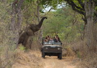 Big 5 Self-catering Lodge Tourism Africa
