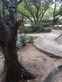 Beverley Hills Lodge Tourism Africa