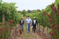 Book Grabouw Hotels, Tourism Africa Tourism Africa