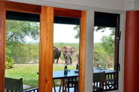 Book Phalaborwa Hotels, Tourism Africa Tourism Africa