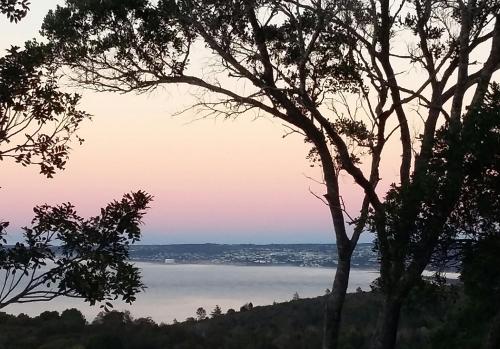 Baywatch - Pinehaven Farm - thumb 0