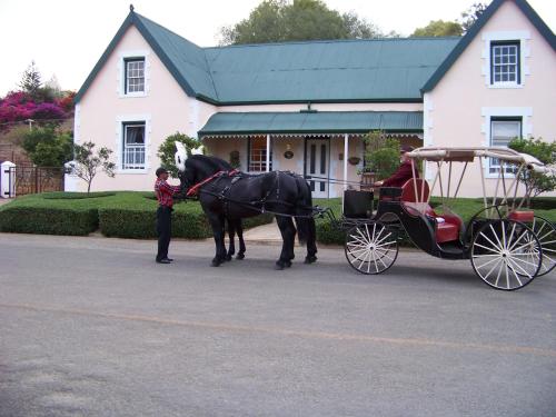 Lemontree Cottage - thumb 1