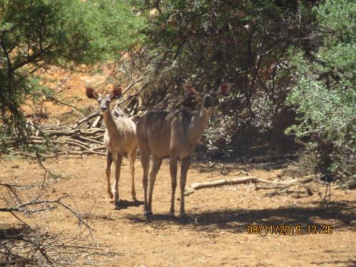 Linduli Farmstay - thumb 1