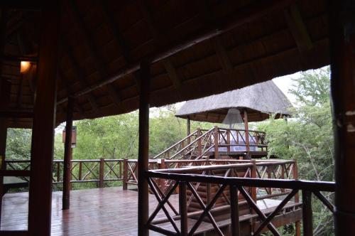 Lion Tree Bush Lodge - thumb 4