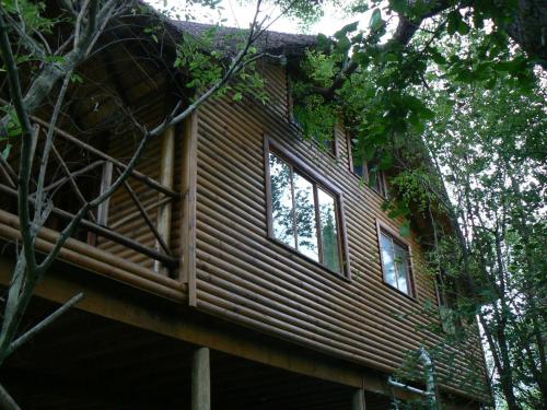 Lion Tree Bush Lodge - thumb 1