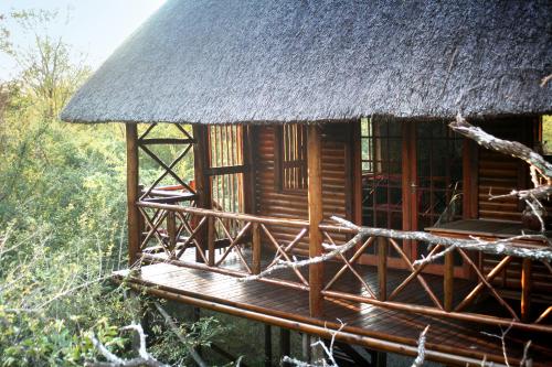 Lion Tree Bush Lodge - thumb 0
