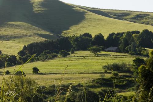 Lions River Country Cottages - thumb 0