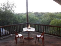 Little Bush Baby Tourism Africa