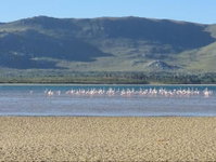 Little Haven 10  12 Tourism Africa