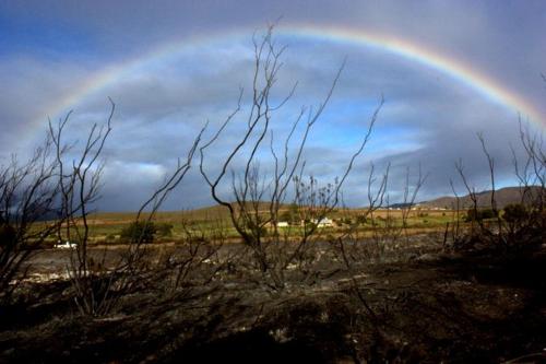 Little Karoo Dream - thumb 1