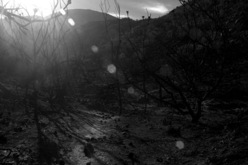 Little Karoo Dream - thumb 3