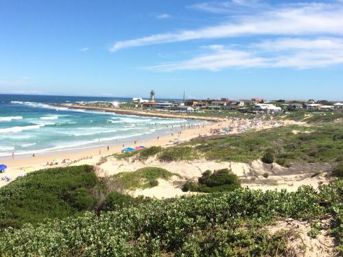 Little Sandpiper - thumb 4