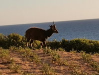 Book Mossel Bay Hotels, Accommodation Africa Accommodation Africa