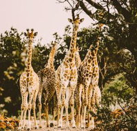 Lodge  Bankenkloof Private Game Reserve - Tourism Africa