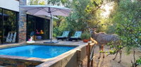 Loerie Escape - Marloth Park Tourism Africa
